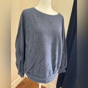 LOFT Sparkling Dark Blue Sweatshirt